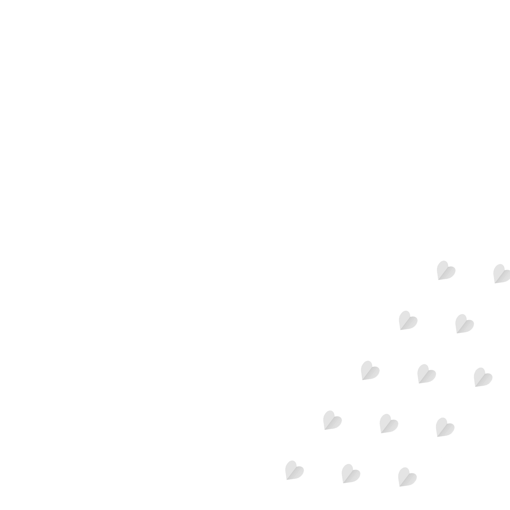 professional general contractors