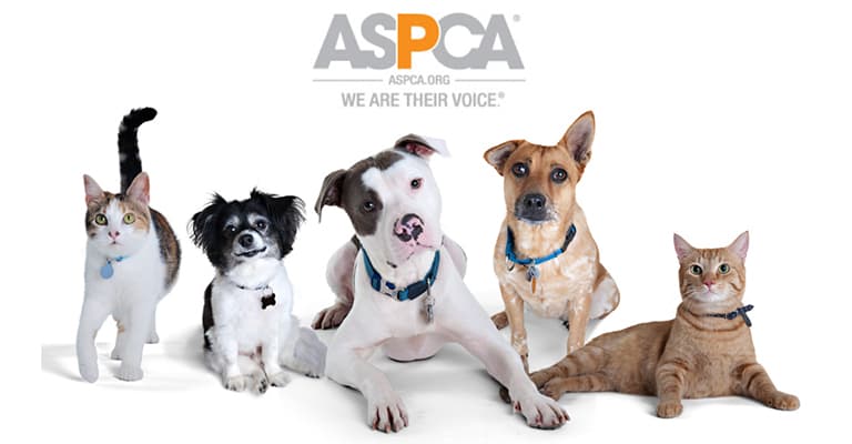 customized general contractors